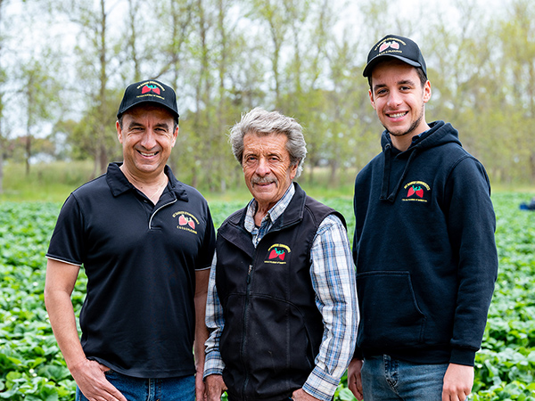 Strawberry Suppliers Adelaide l The Piliouras Family l Mt Barker Strawberries