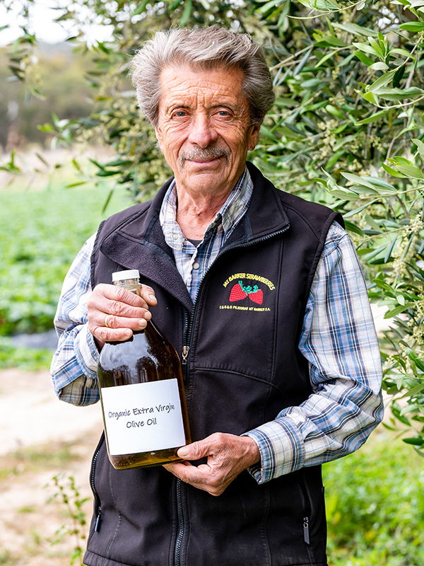 The Piliouras Family l Strawberry Suppliers Adelaide l Mt Barker Strawberries